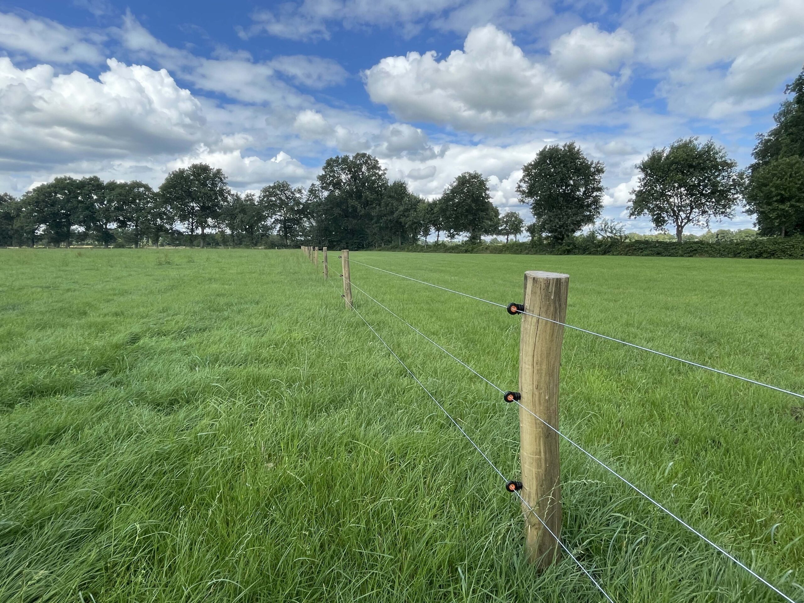 landelijke-hekwerken-landelijk-hekwerk-palen-met-3-stroomdraden